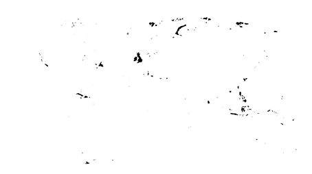 INDUSTRIAL MEXICANA DE HULES SA DE CV