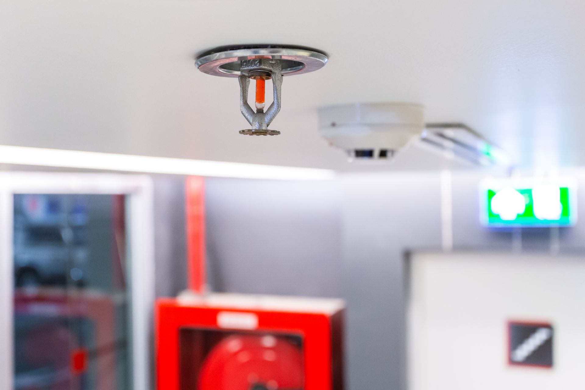 Fire sprinkler and fire alarm on a ceiling in a building, with an emergency exit sign and fire hose cabinet visible.