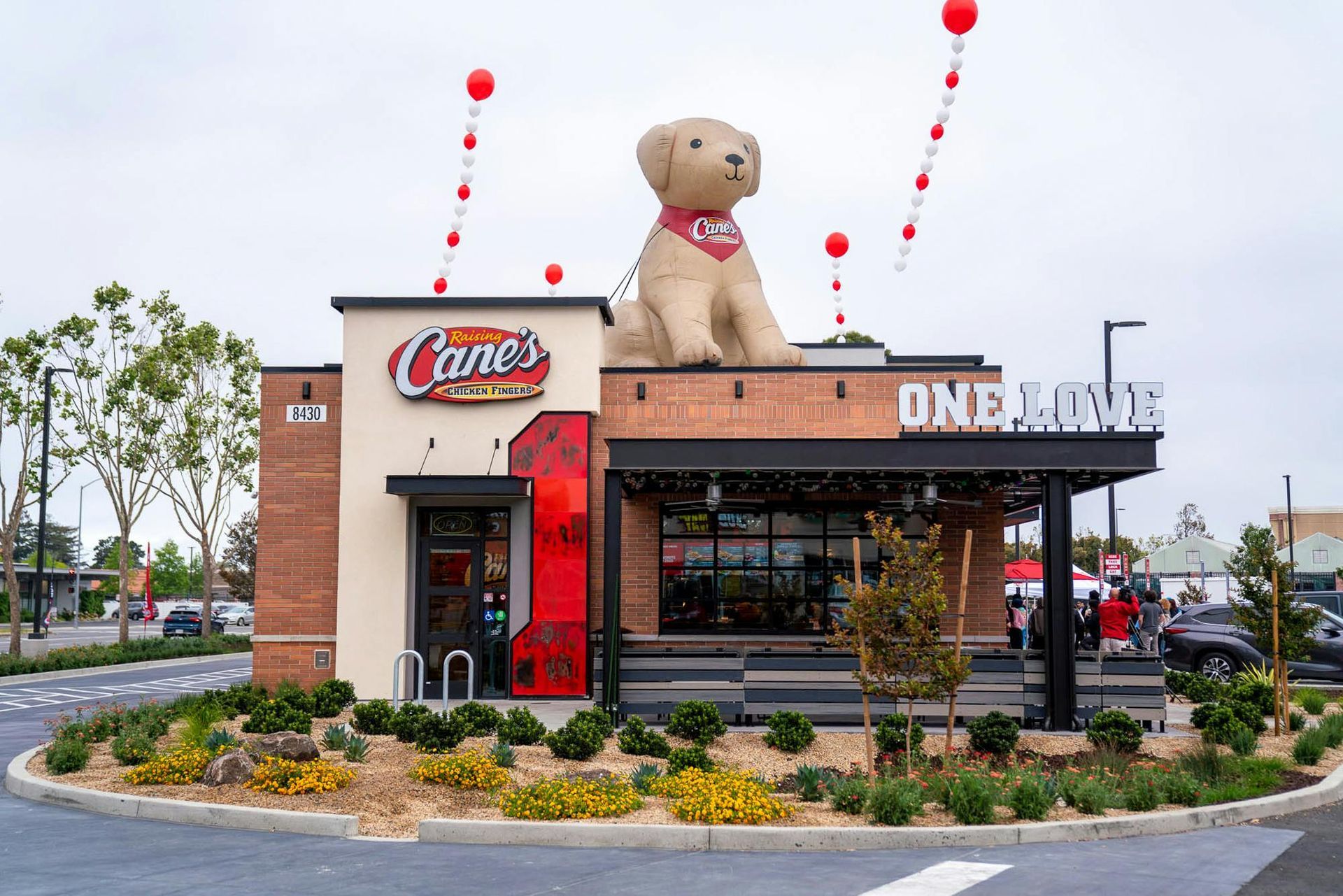 Raising Cane's restaurant with a giant dog statue on top; red and white balloons and a drive-thru lane.