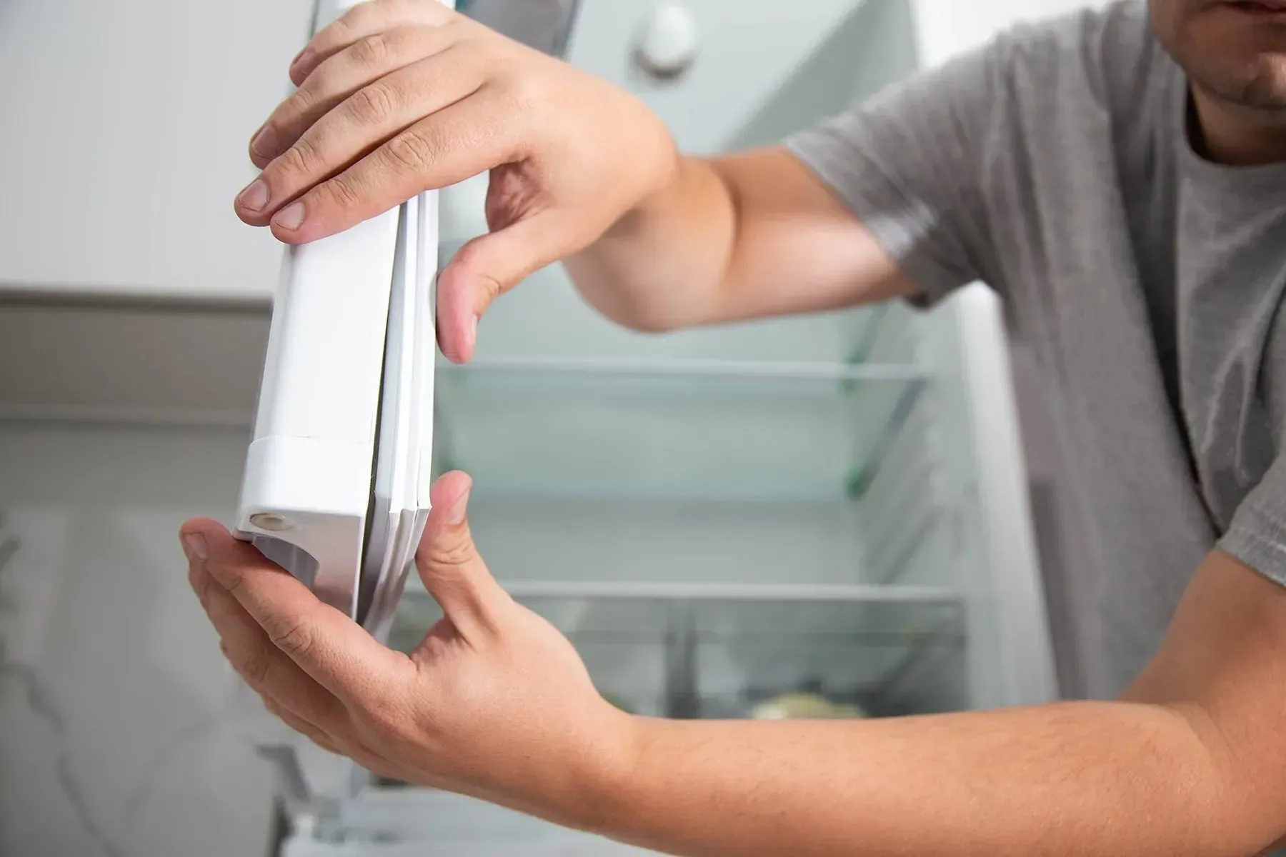 Person Holding a Detached White Refrigerator Door Gasket — Eurocoast Appliance Service In Morisset, NSW