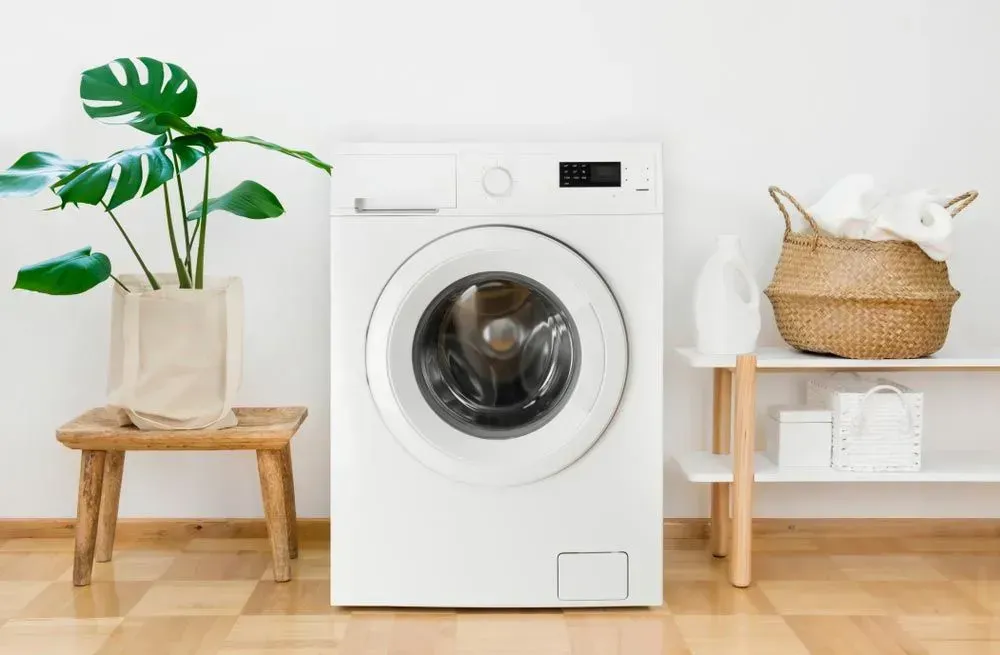 White Washing Machine Sits Between a Potted Plant — Eurocoast Appliance Service In Tuggerah, NSW