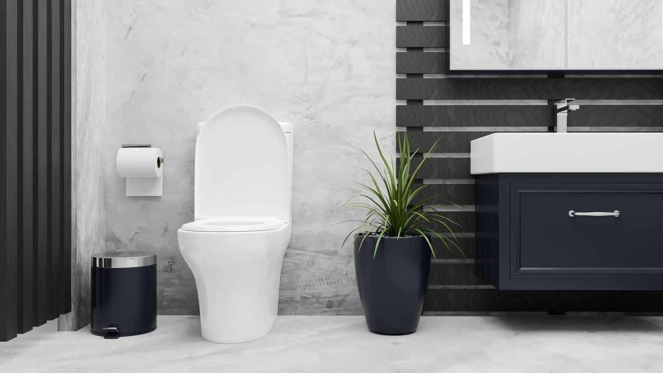 Modern bathroom with toilet, vanity, and potted plant. White, gray, and navy blue color scheme.