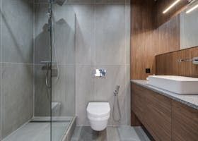 Modern bathroom with a glass shower, toilet, and wooden vanity.