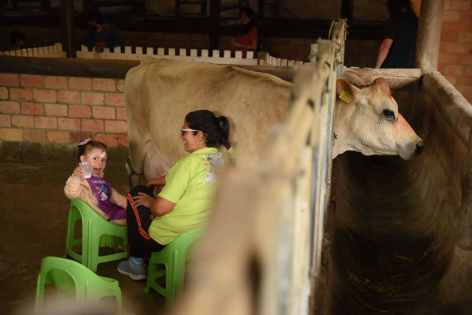 Criança sentada a uma mesa verde com uma vaca em um ambiente que lembra um celeiro.