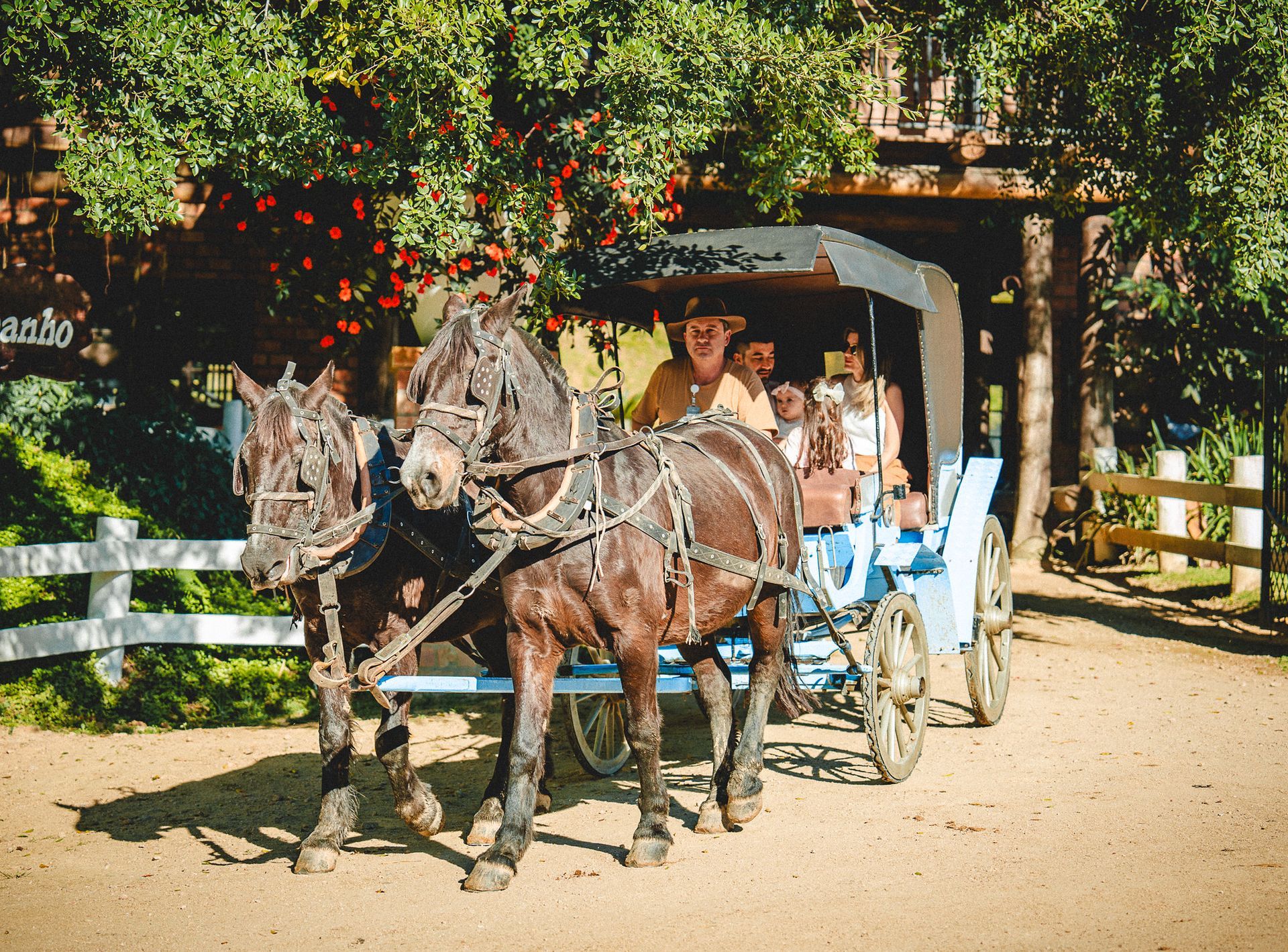 Carruagem puxada por cavalos em um caminho de terra ensolarado, com passageiros sob árvores frondosas e flores por perto.
