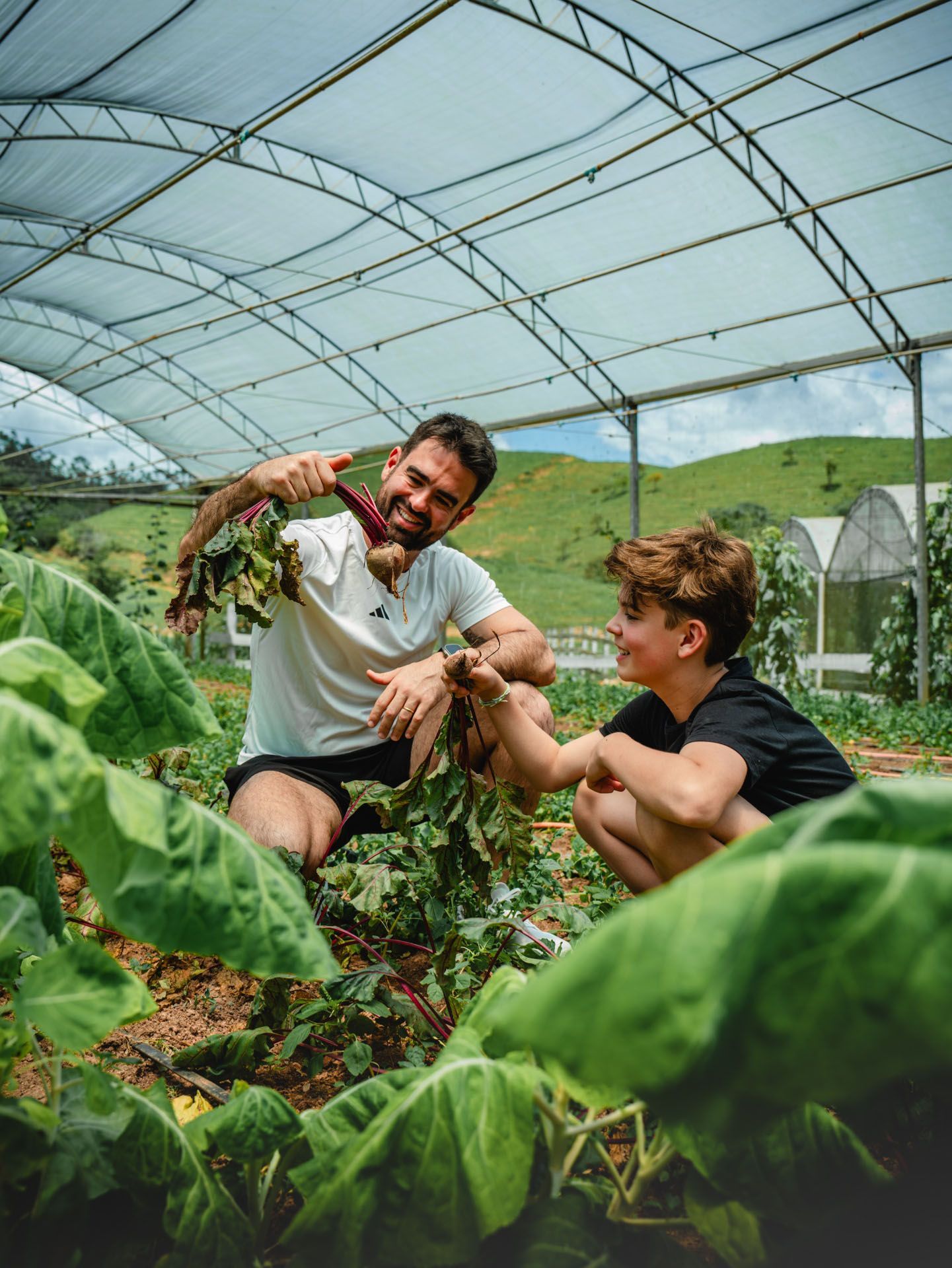 Duas pessoas colhendo verduras em uma estufa coberta, cercadas por plantas exuberantes.
