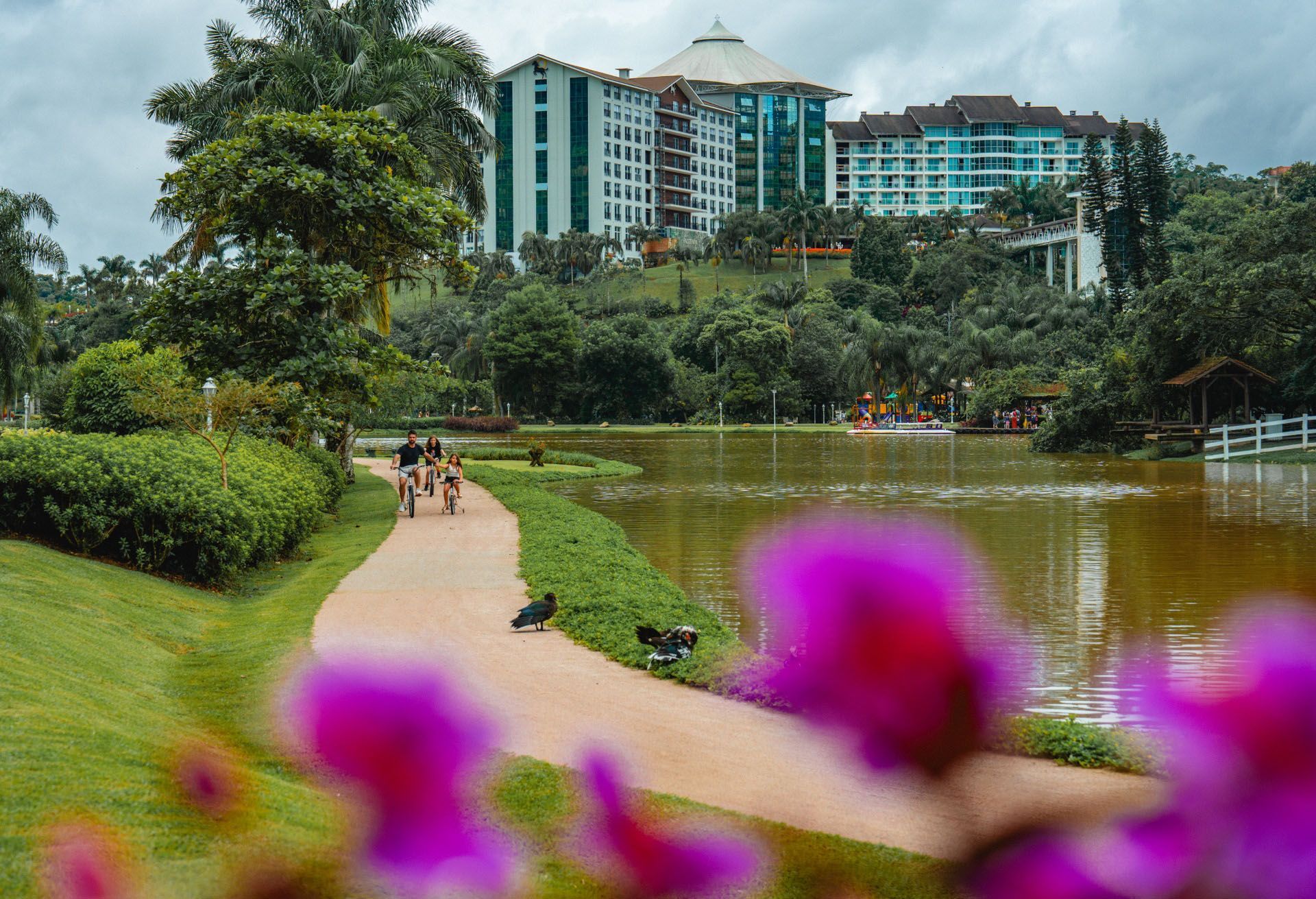 Caminho de parque ao lado de um lago com flores cor-de-rosa em primeiro plano e um edifício azul-turquesa ao fundo.