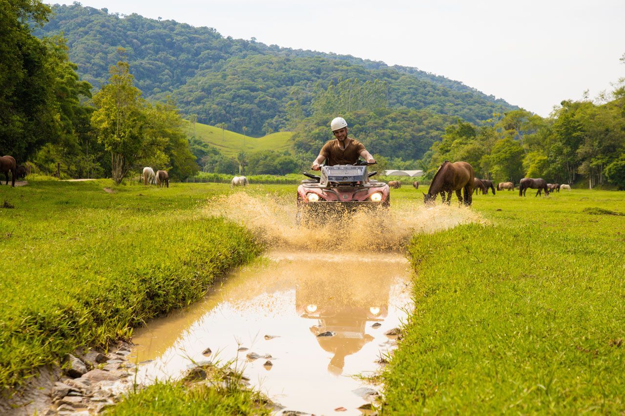 Um quadriciclo atravessando um arrozal lamacento com um agricultor e gado pastando ao fundo.