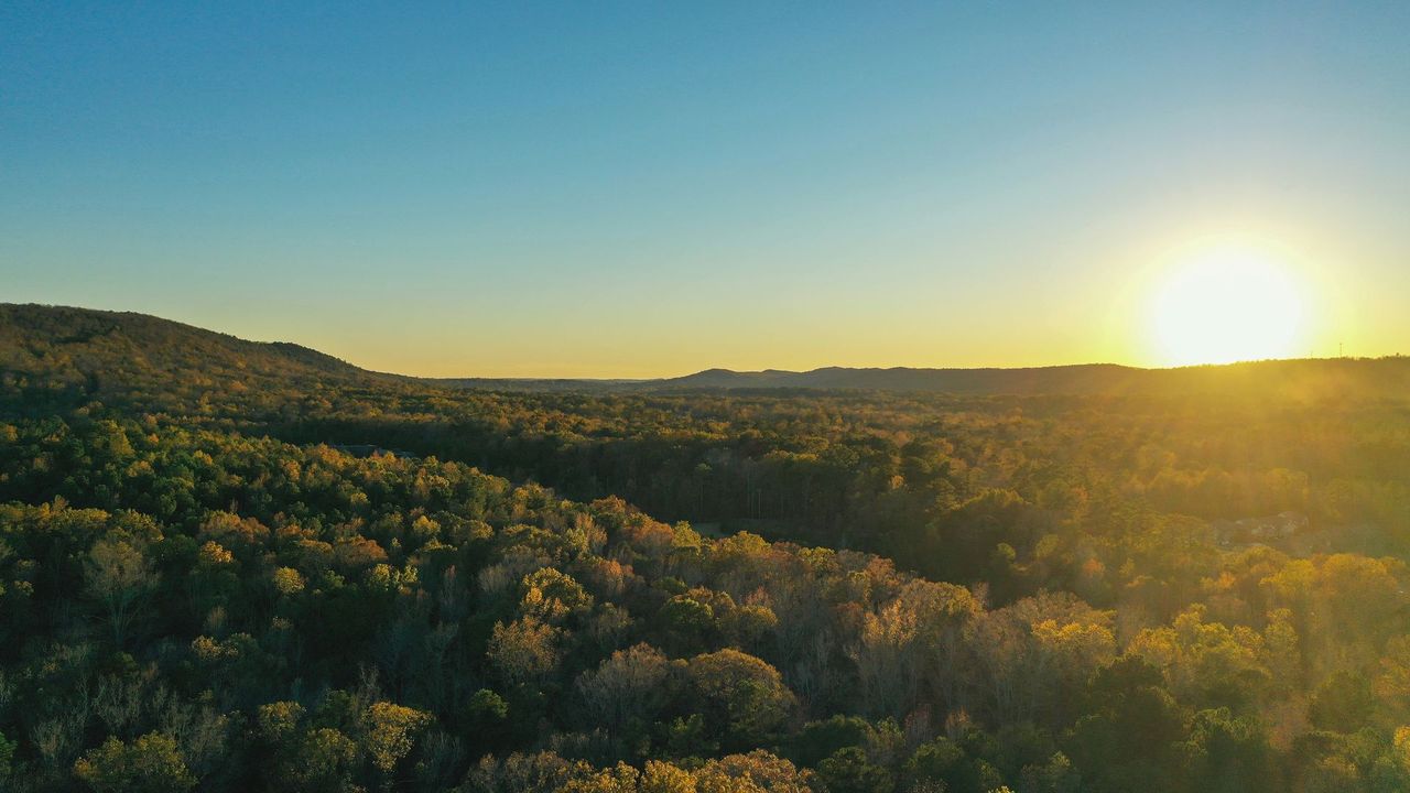 Sun setting over a dense forest with a clear blue sky.