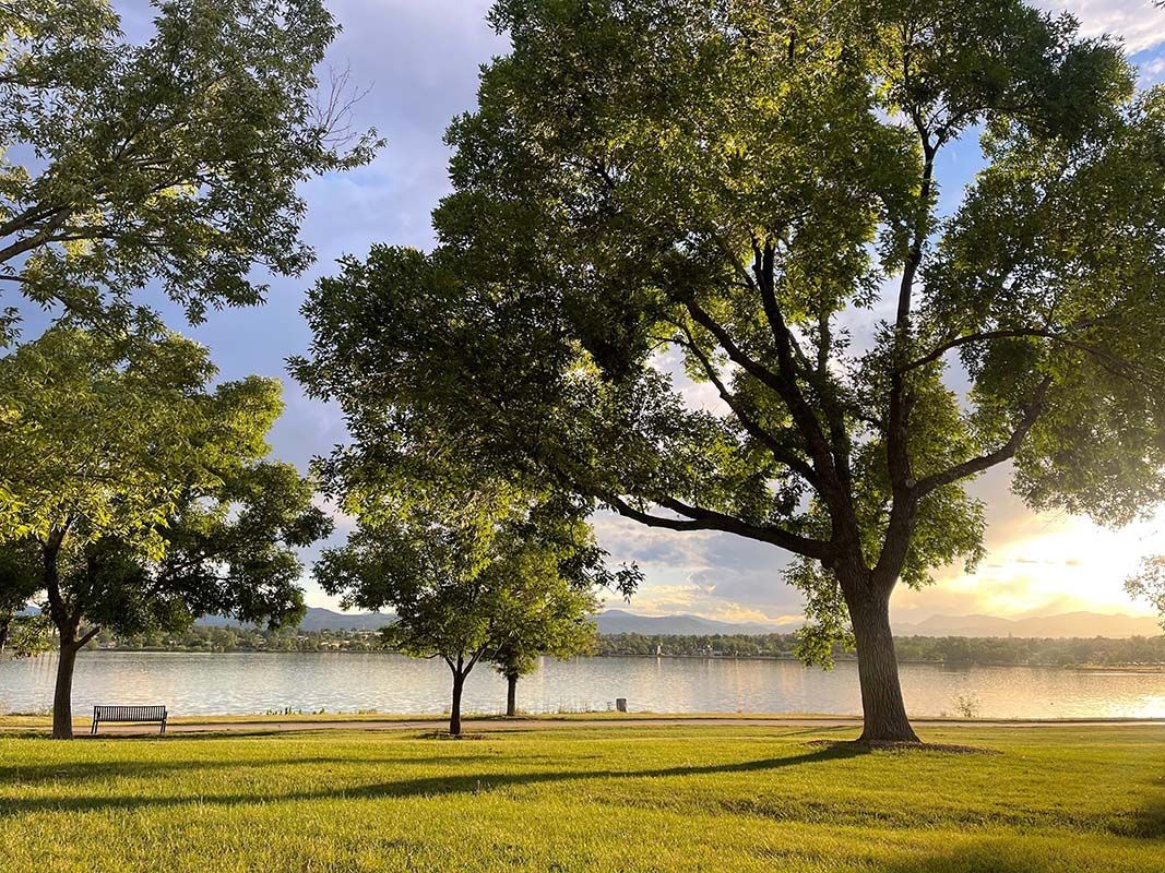 Trees on a grassy lawn overlook a lake, illuminated by sunlight and cloudy sky.