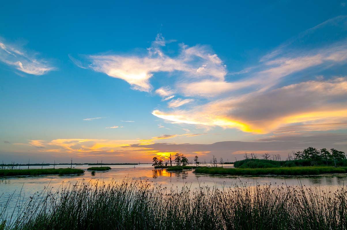 Sunset over a calm lake, silhouetted trees, and reeds against a blue and yellow sky.