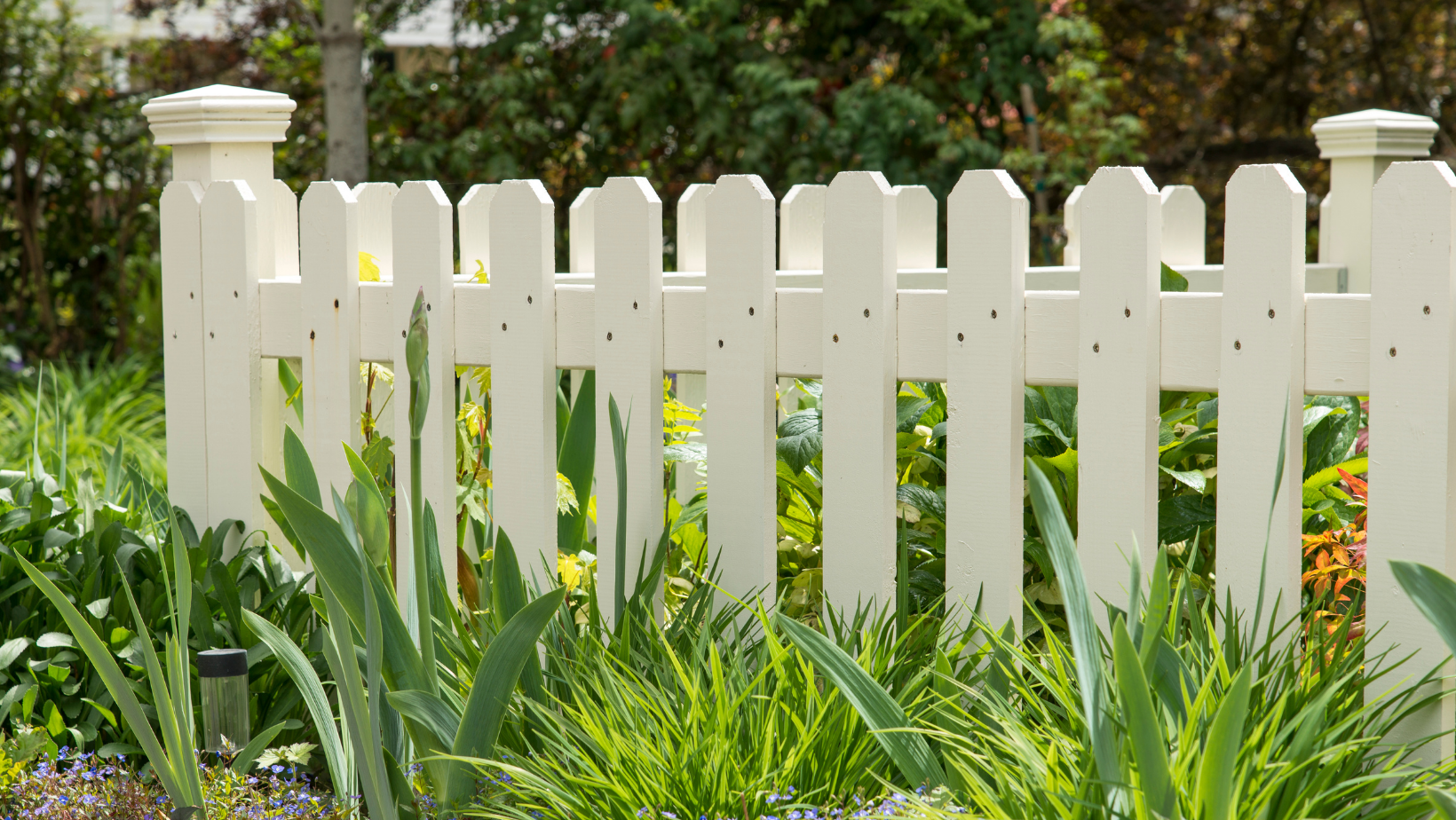 fence