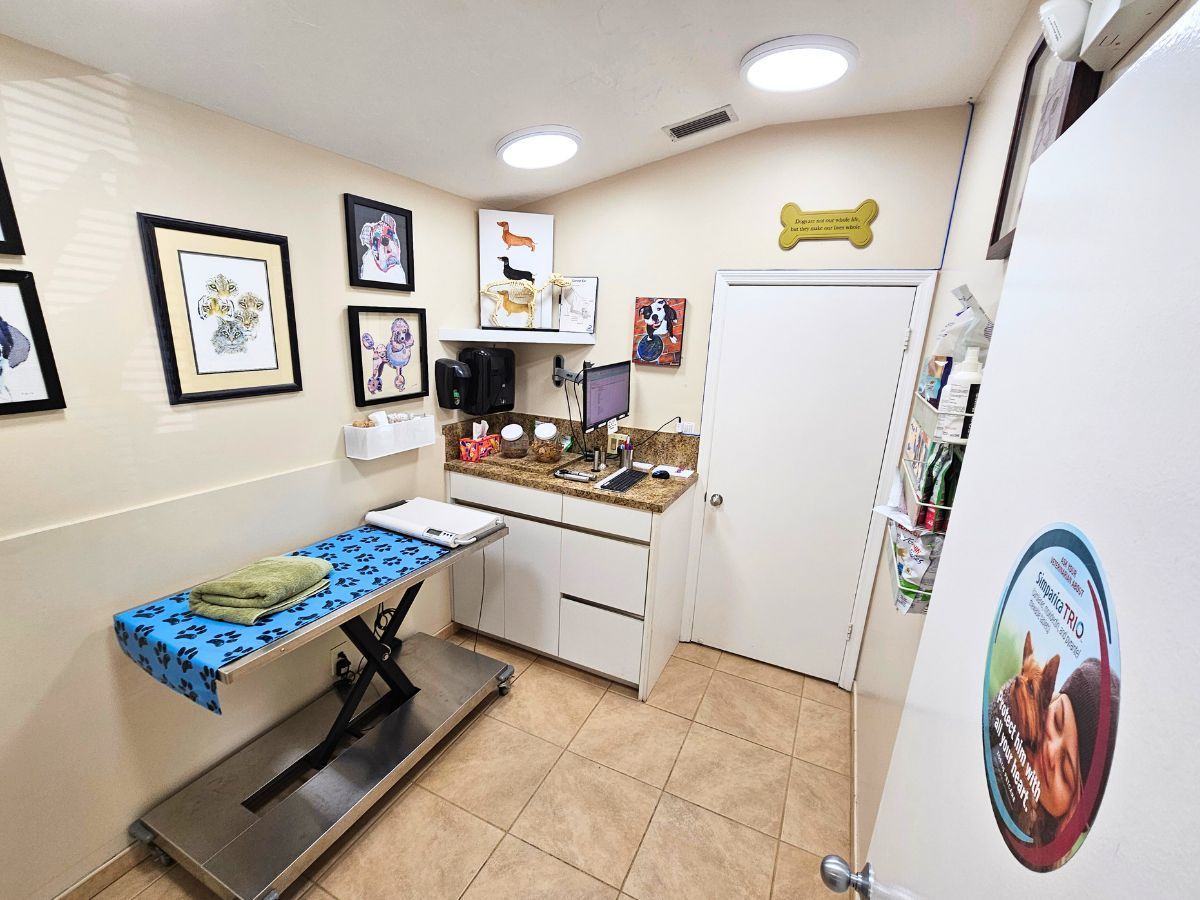Exam Room