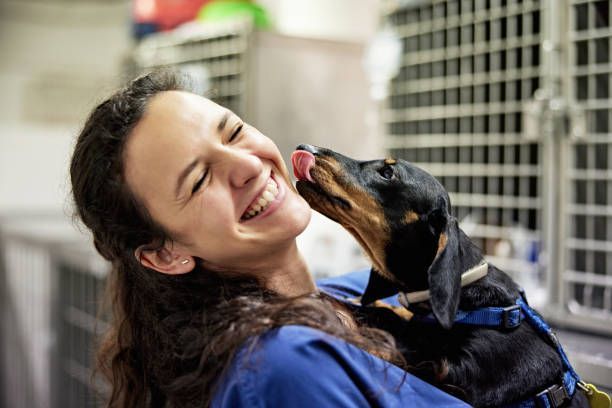 Assistant Caring For Dachshund — Lake Worth, FL — Canal Animal Hospital