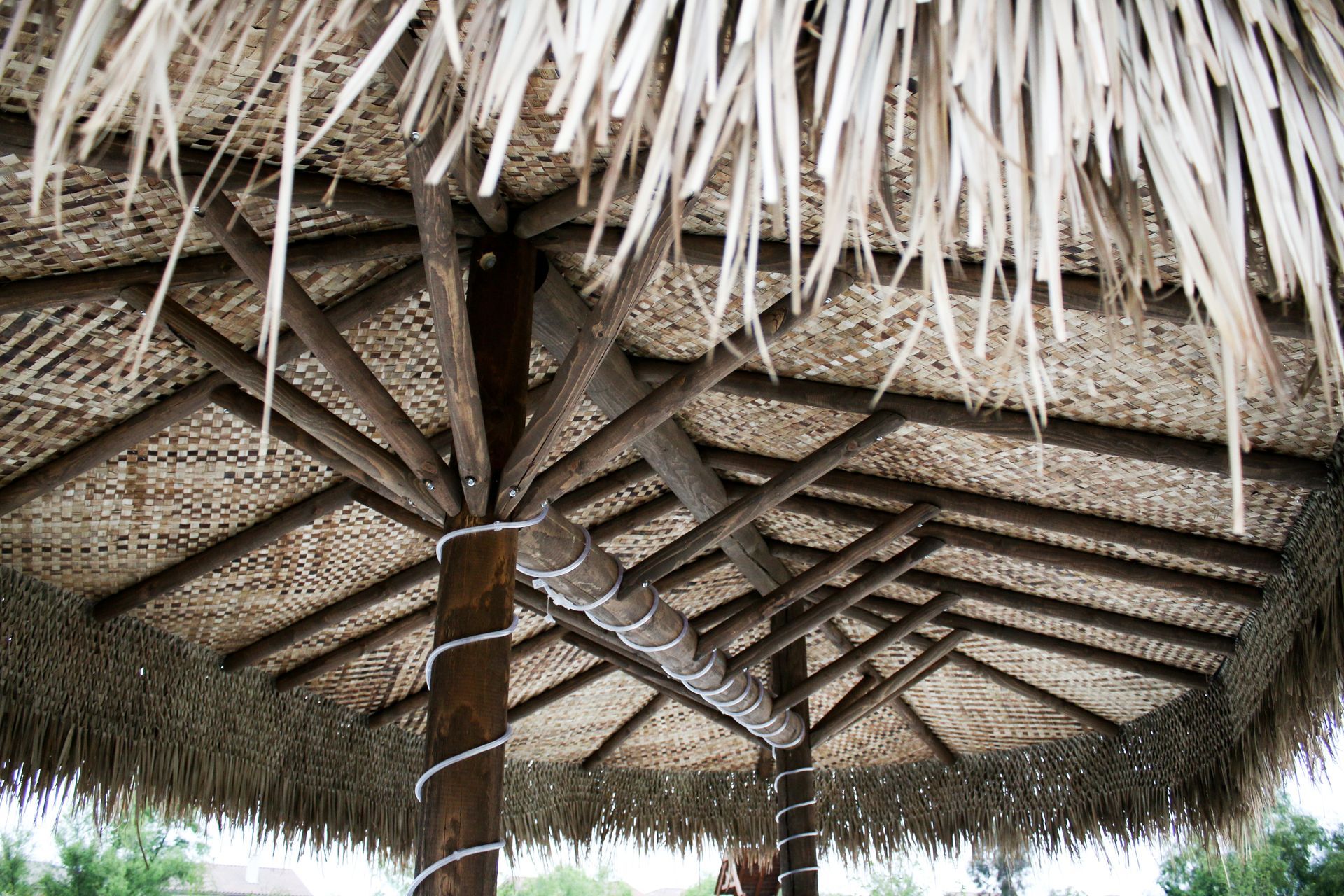An underside view of a thatched-roof tiki hut, showing the wooden framework, supporting poles, and woven palm leaves.