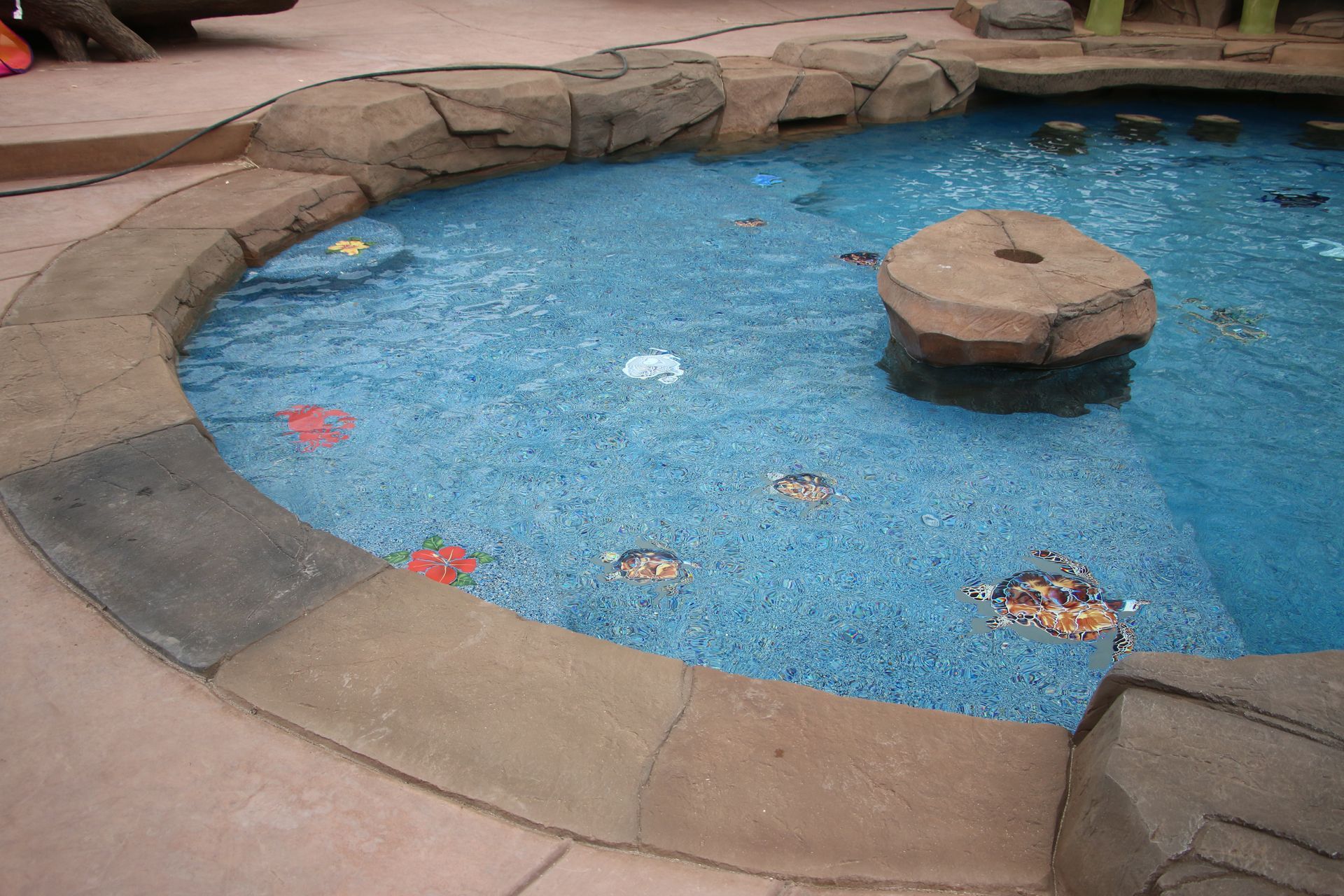 A blue-tiled pool with cartoon character designs at the bottom, surrounded by stone coping and a rock-style edge.