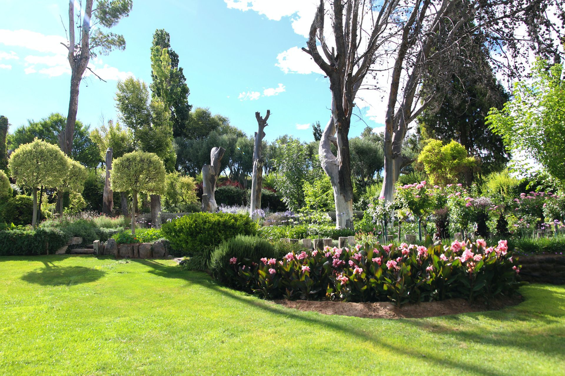 A lush green park with trees and flowers on a sunny day