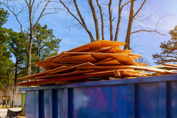 Stacked orange wood sheets on top of a blue dumpster outdoors under trees