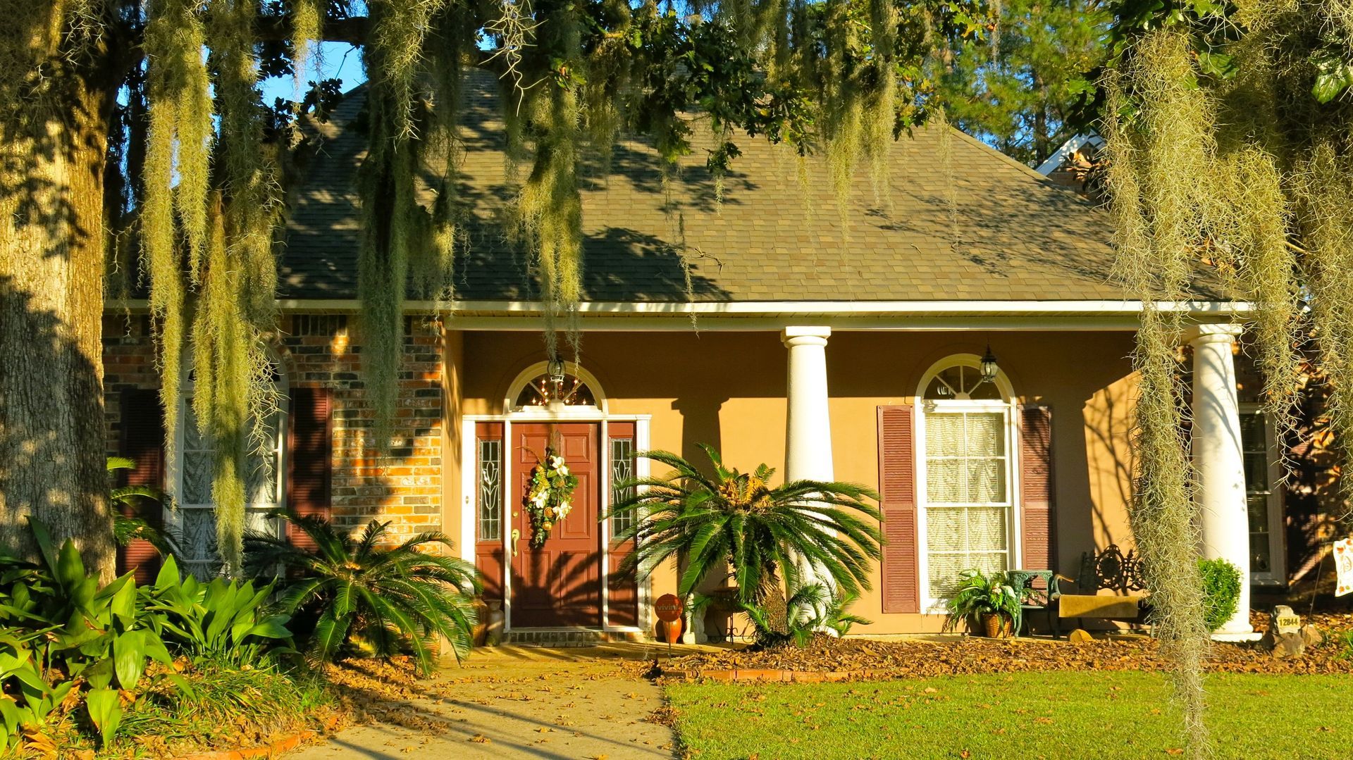 Sunny house with white columns, red door, and hanging Spanish moss in a leafy yard