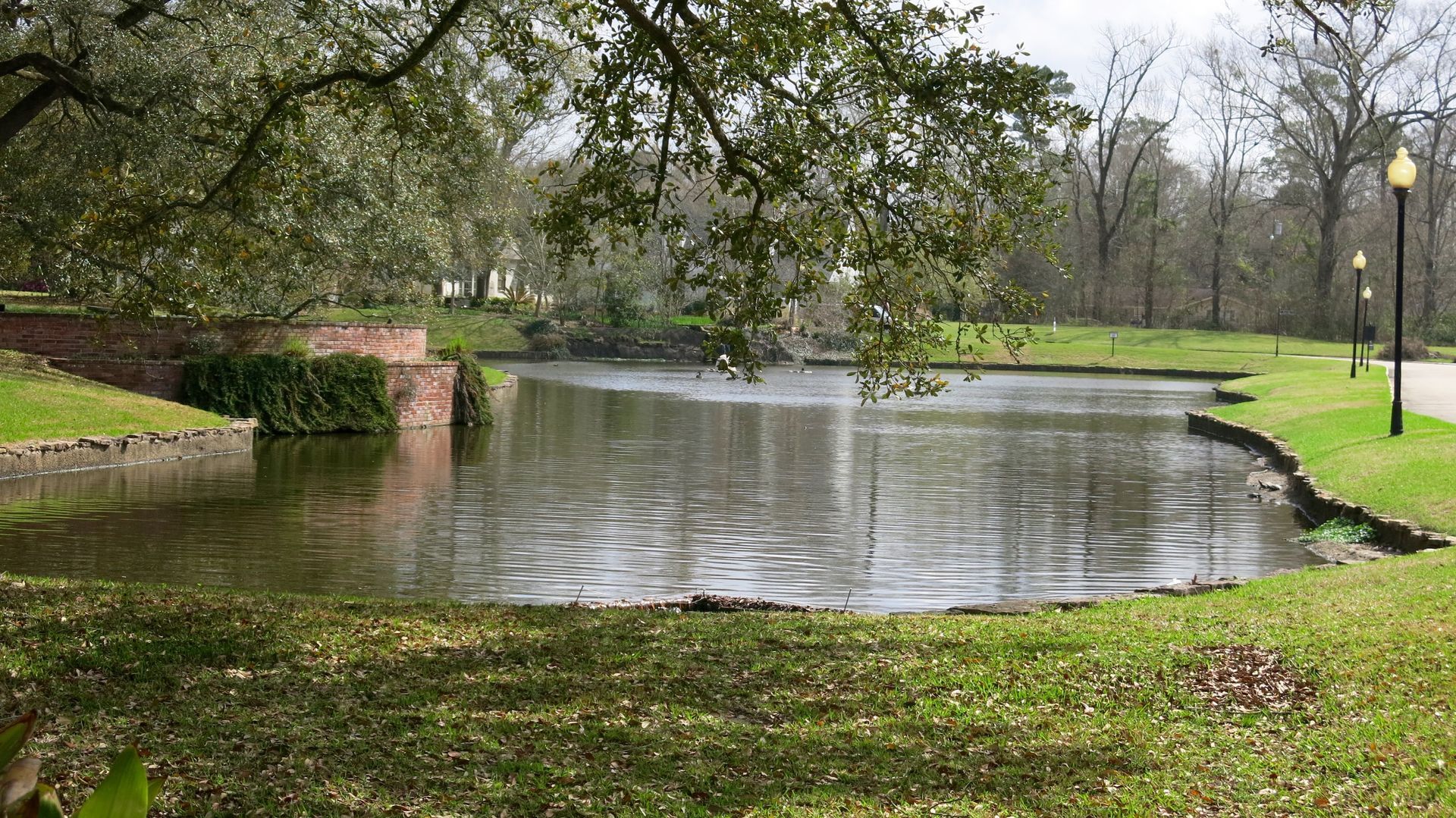 Pond in a park with trees, grass, and a stone edge on a gray day