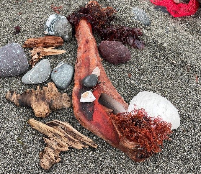 natural materials on shore 
