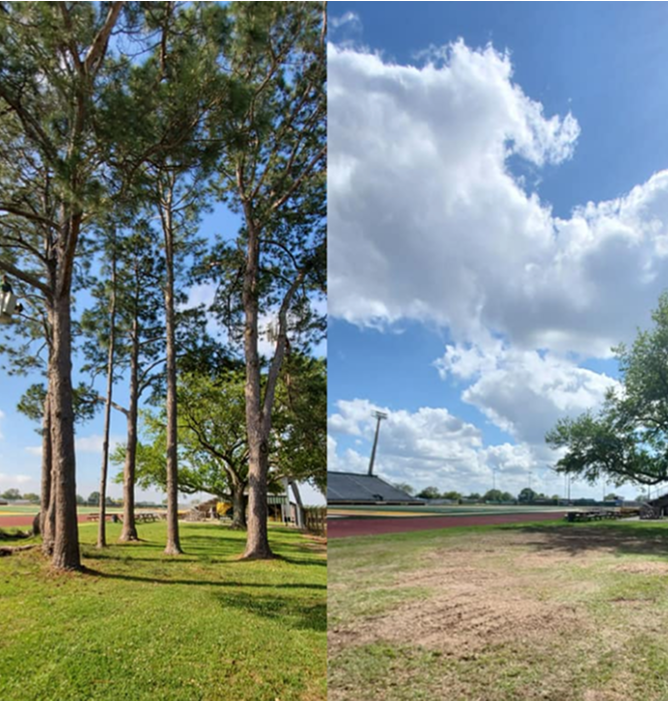 Trees and clouds divide a grassy area with a running track under a bright blue sky.