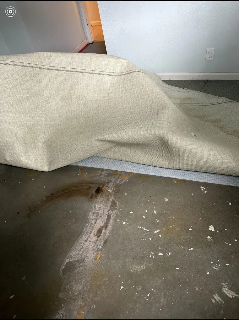 The edge of a beige carpet lifts off a dark concrete floor, revealing a stained, uneven subfloor surface underneath.