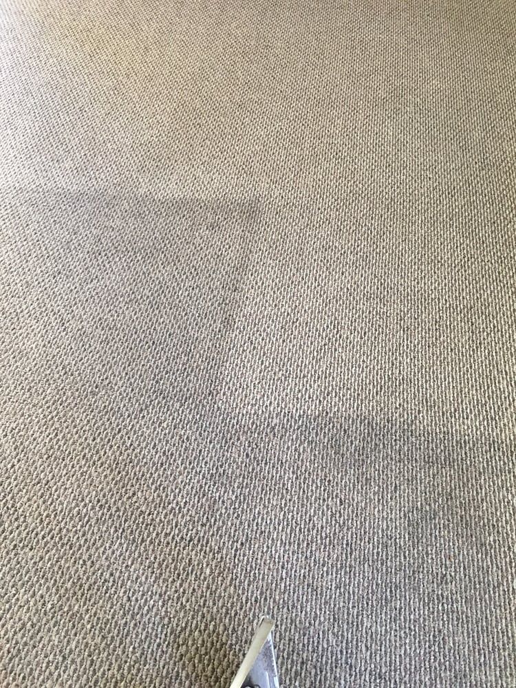 A close-up of textured beige carpet showing a distinct color difference between a cleaned area and a soiled section.