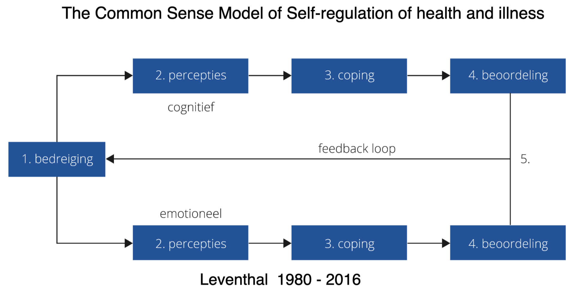 Increased Sense Model Human Overtuigingen & pijn, hoe ermee om te gaan