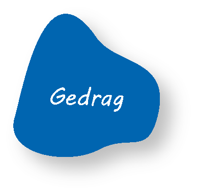 Pijneducatie voor de professional