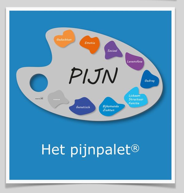 Pijnschaal in het Nederlands met gekleurde pijnzones, aangeduid met “PIJN” en “Het pijnpalet®”.