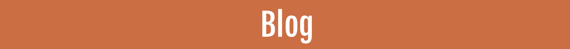 Oranje headerbalk met het woord 'Blog' in witte tekst.