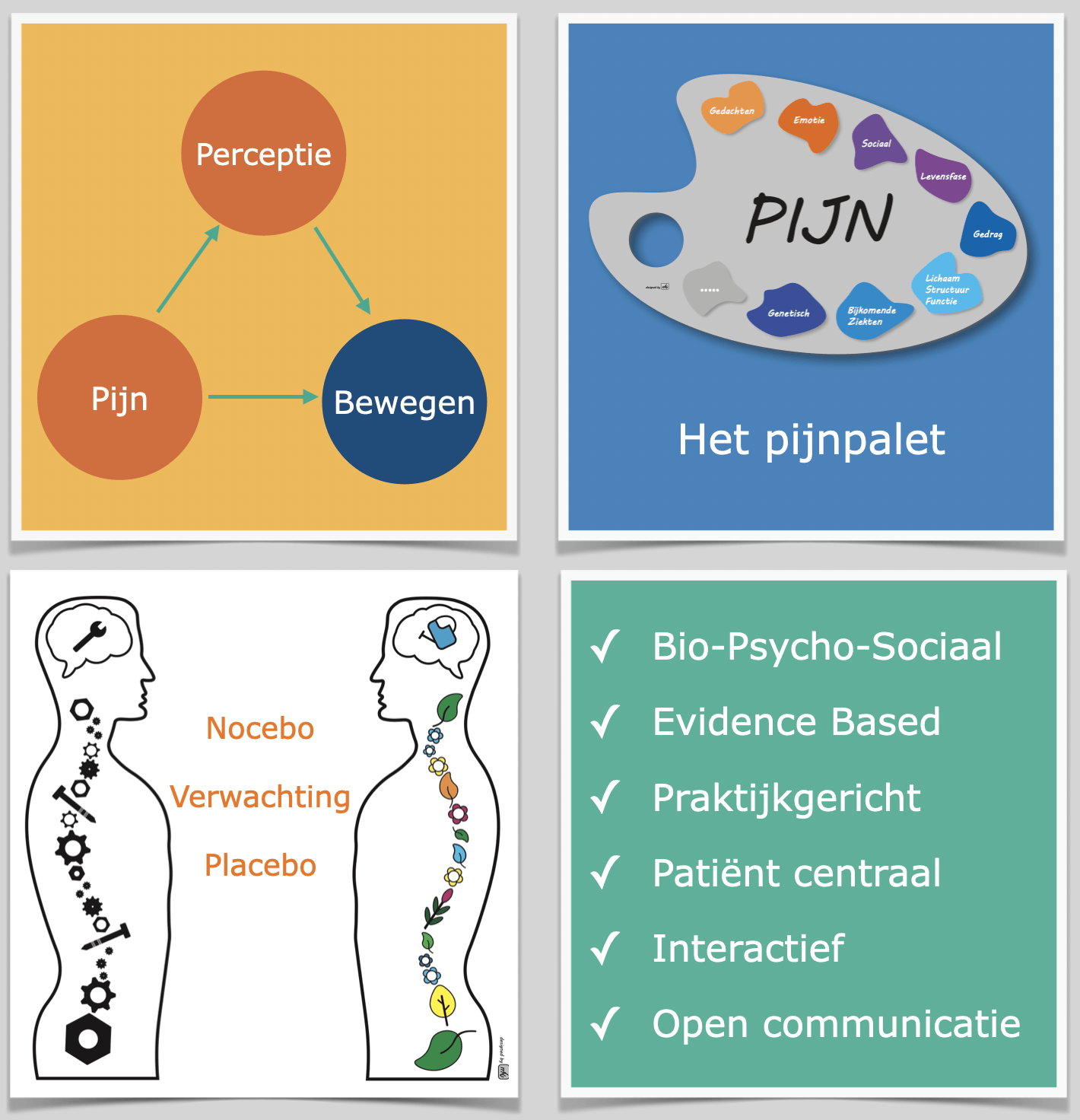 Collage van pijnconcepten: pijn, perceptie, beweging, pijnpalet, placebo/nocebo en biopsychosociale checklist.