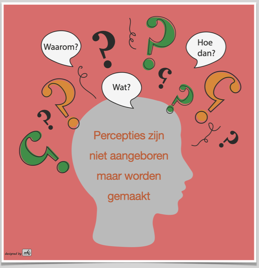 Silhouette hoofd met vragenstekens en tekst: “Percepties zijn niet aangeboren maar worden gemaakt.”