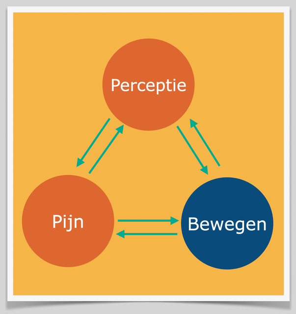 Drie gekleurde cirkels met pijlen ertussen: Perceptie, Pijn en Bewegen op oranje achtergrond.