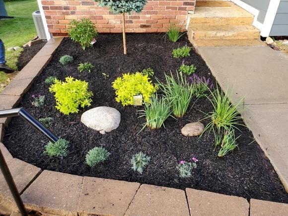 Small landscaped garden bed with black mulch, yellow-green plants, rocks, and a brick house entrance.