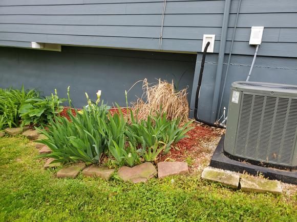 Small garden bed with green plants and tan mulch beside a house wall and outdoor AC unit.