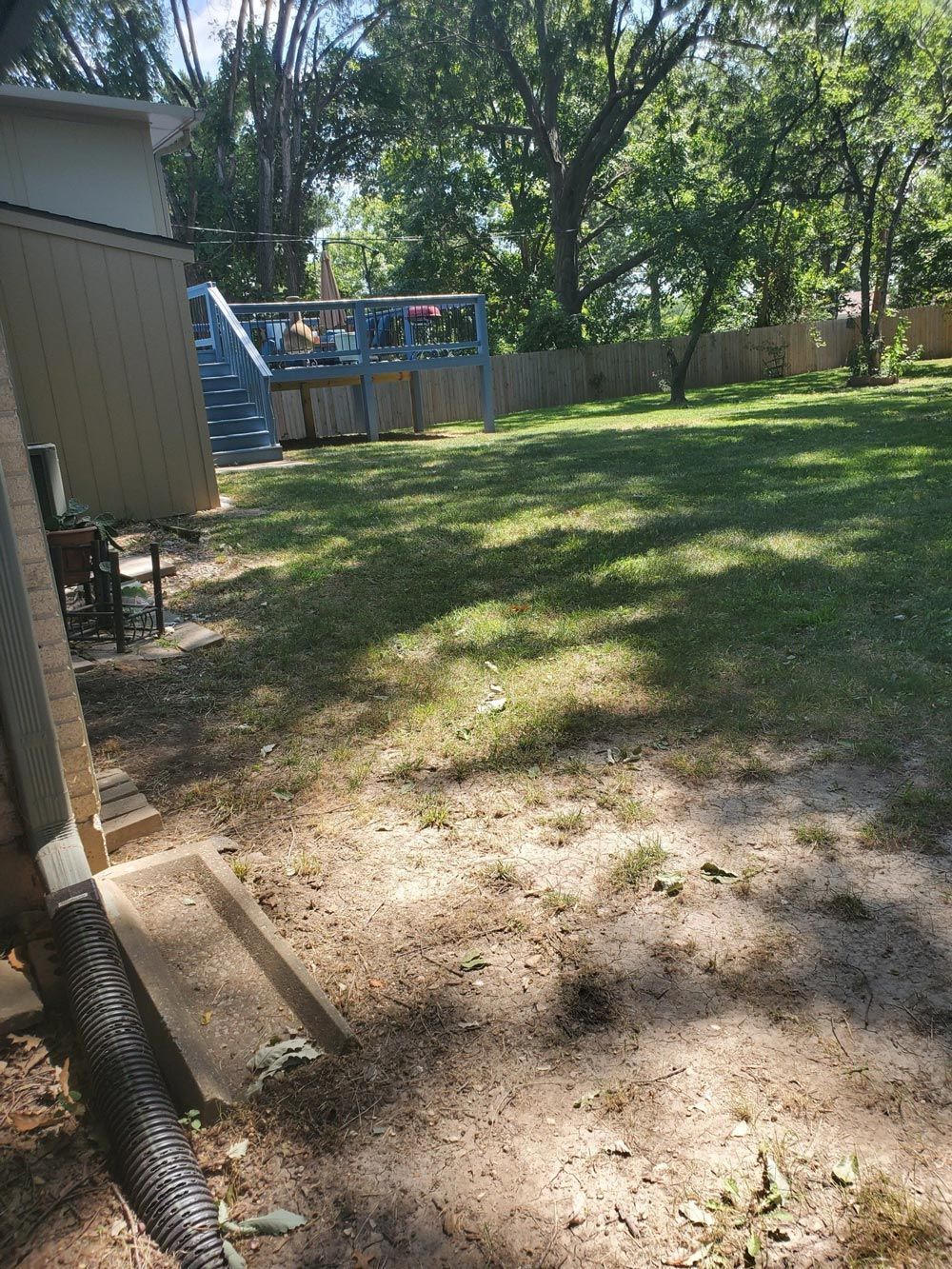 Backyard with patchy grass, trees, a wooden fence, and a blue playset in the distance.