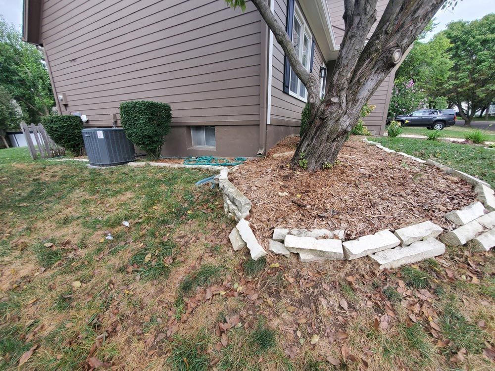 Leaf-covered yard beside a house, with a tree ringed by white stones near the foundation.