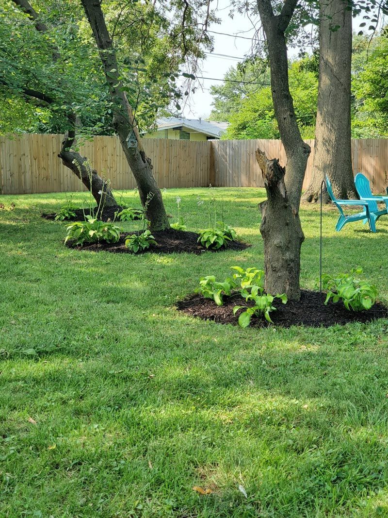 Grassy backyard with trees, a wooden fence, and a blue chair in the shade.