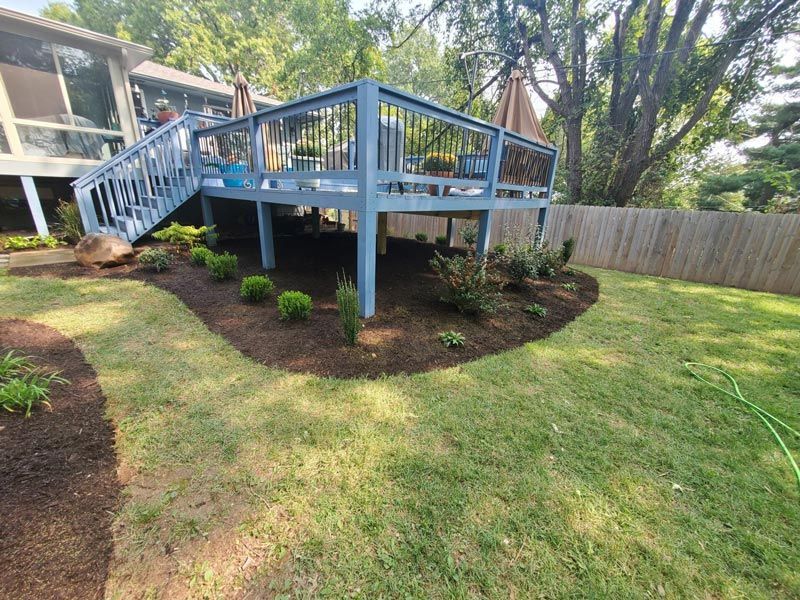 Backyard deck with blue railings and stairs above a landscaped lawn and mulch beds