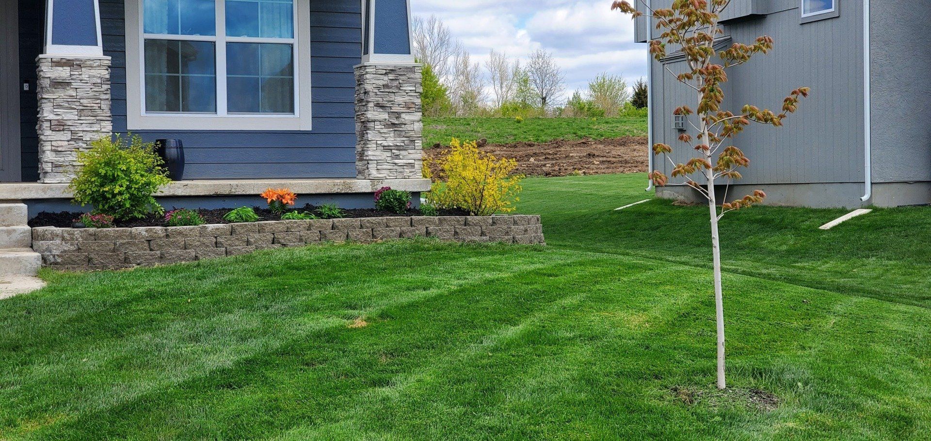 Front yard with green lawn, stone house facade, and a young tree near a retaining wall