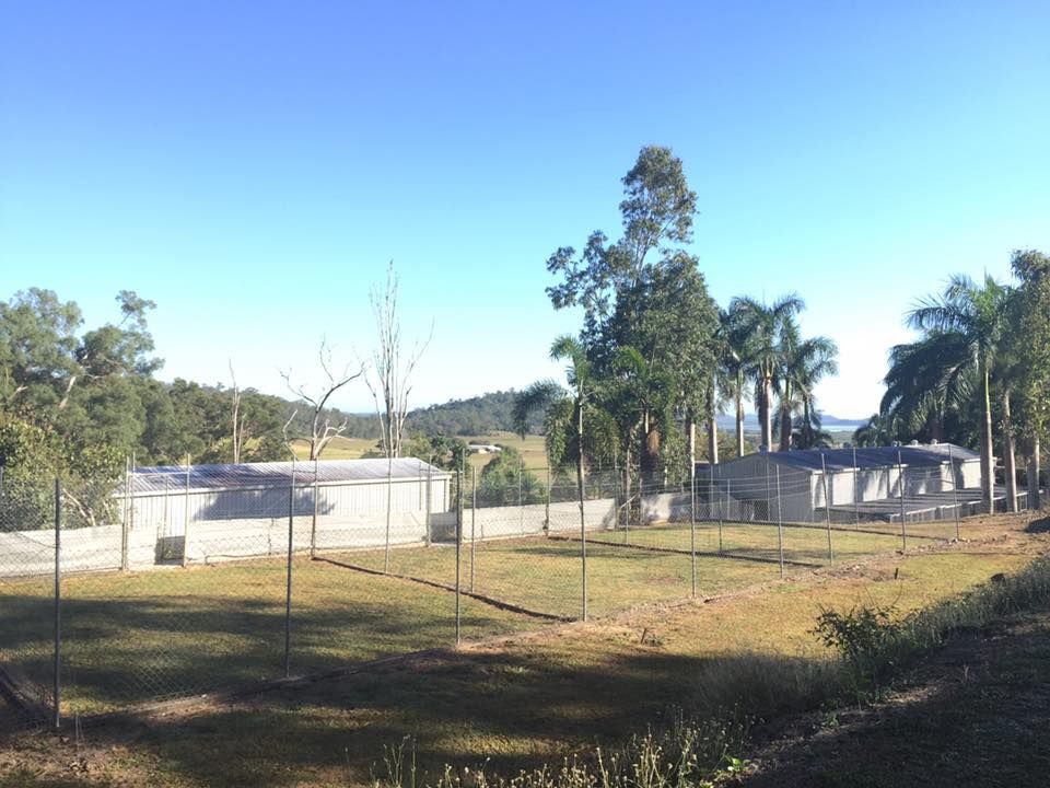 Fenced Enclosures With Low Buildings on a Grassy Field, Trees and Blue Sky Background — Bayview Canine Lodge In Habana, QLD