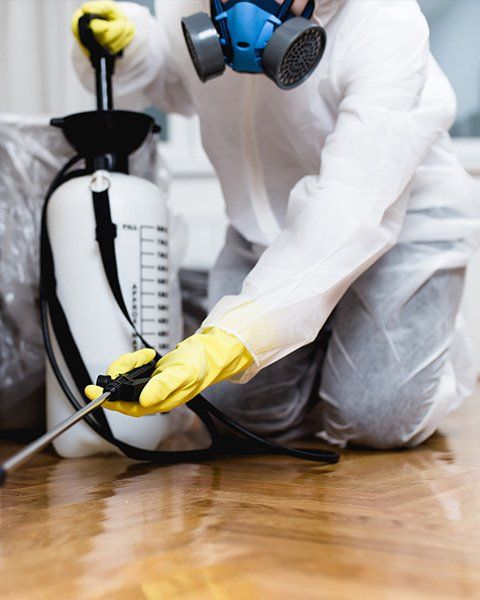 Cockroach Spray