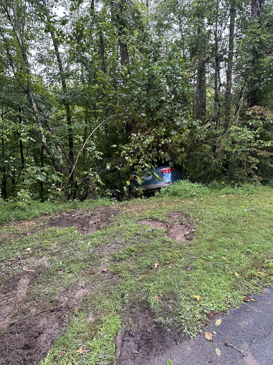 Wooded roadside with muddy grass and a partially hidden blue car in the trees