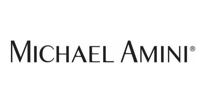 Michael Amini