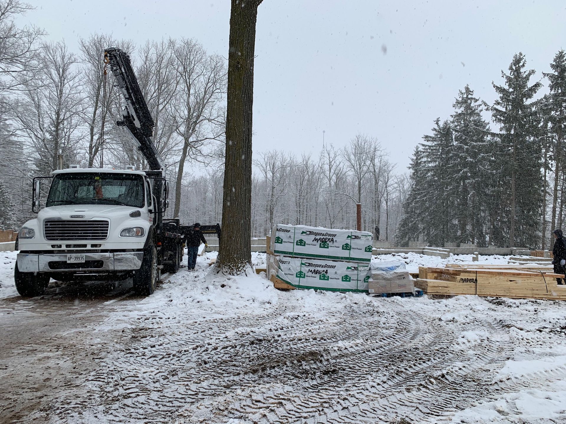 A white truck is parked in the snow next to a tree.