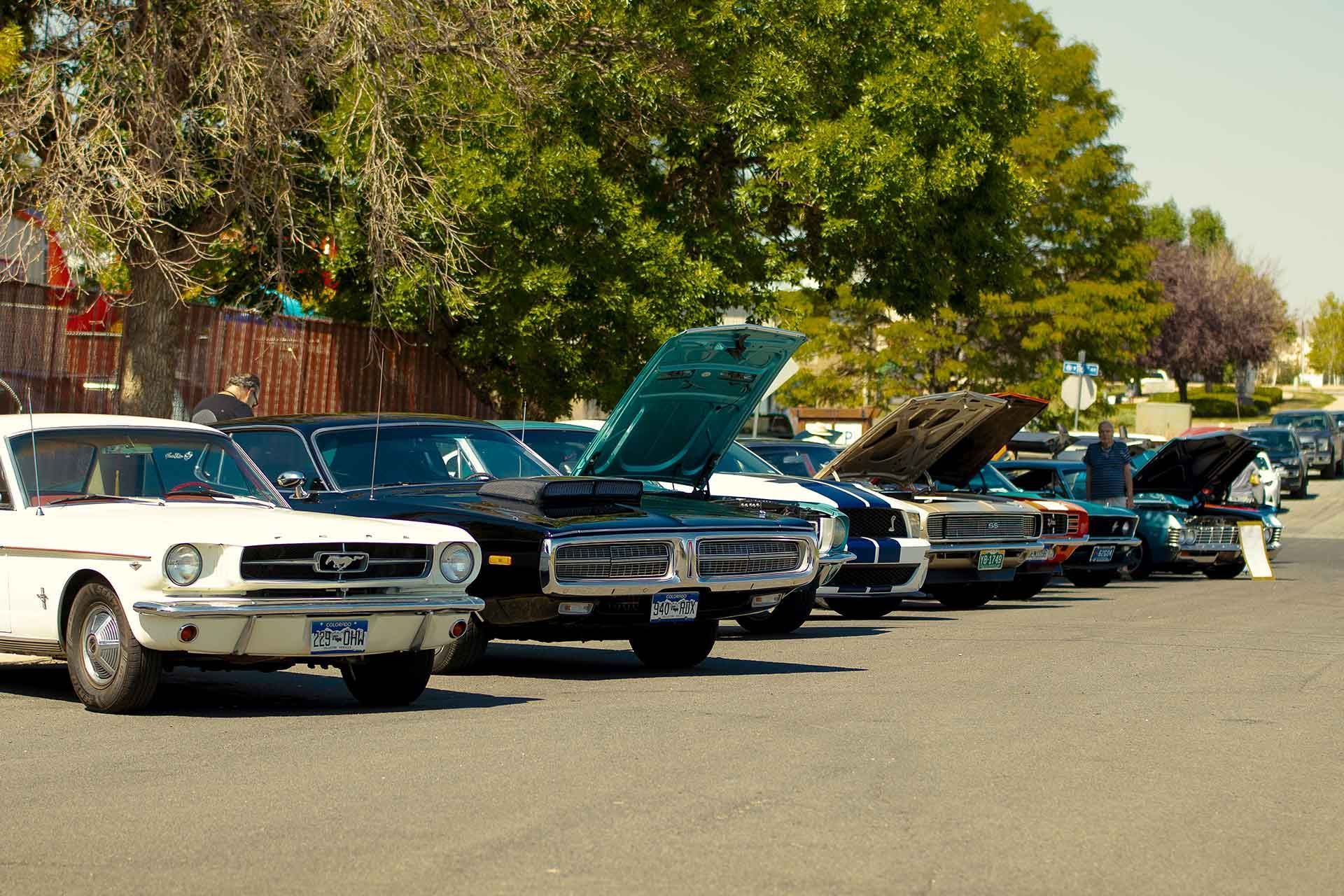 Blog | Stang Auto Tech 
