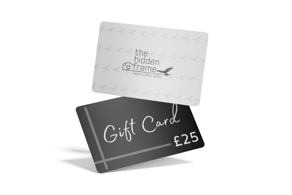 Two stacked gift cards, one light gray with a logo and one black with 