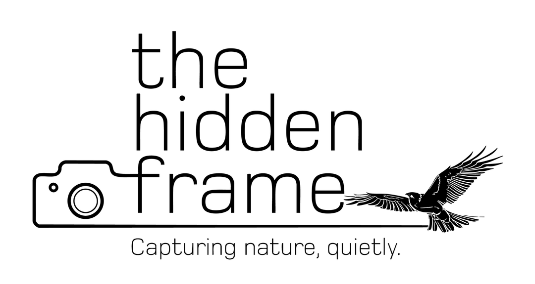 Logo with the words